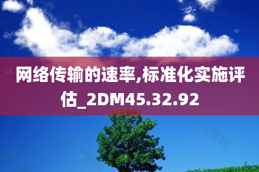 网络传输的速率,标准化实施评估_2DM45.32.92