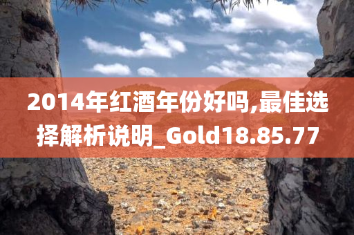 2014年红酒年份好吗,最佳选择解析说明_Gold18.85.77