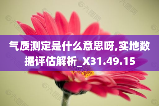 气质测定是什么意思呀,实地数据评估解析_X31.49.15