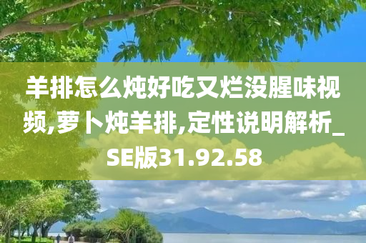 羊排怎么炖好吃又烂没腥味视频,萝卜炖羊排,定性说明解析_SE版31.92.58