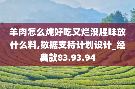 羊肉怎么炖好吃又烂没腥味放什么料,数据支持计划设计_经典款83.93.94