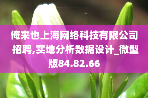 俺来也上海网络科技有限公司 招聘,实地分析数据设计_微型版84.82.66