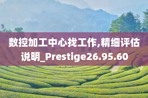 数控加工中心找工作,精细评估说明_Prestige26.95.60