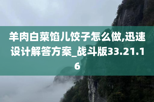 羊肉白菜馅儿饺子怎么做,迅速设计解答方案_战斗版33.21.16