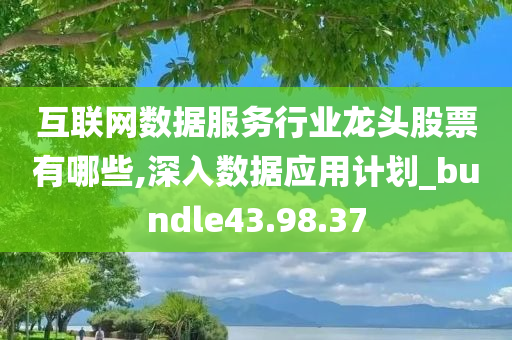 互联网数据服务行业龙头股票有哪些,深入数据应用计划_bundle43.98.37