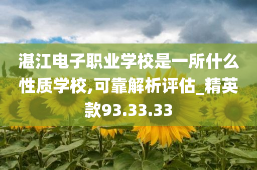 湛江电子职业学校是一所什么性质学校,可靠解析评估_精英款93.33.33