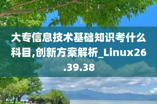 大专信息技术基础知识考什么科目,创新方案解析_Linux26.39.38