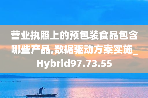 营业执照上的预包装食品包含哪些产品,数据驱动方案实施_Hybrid97.73.55