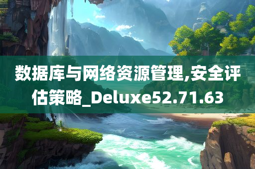 数据库与网络资源管理,安全评估策略_Deluxe52.71.63