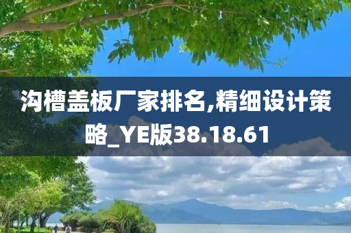 沟槽盖板厂家排名,精细设计策略_YE版38.18.61