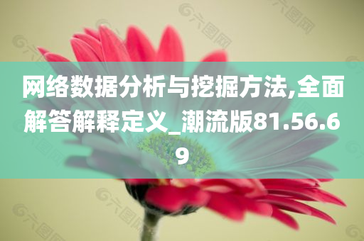 网络数据分析与挖掘方法,全面解答解释定义_潮流版81.56.69