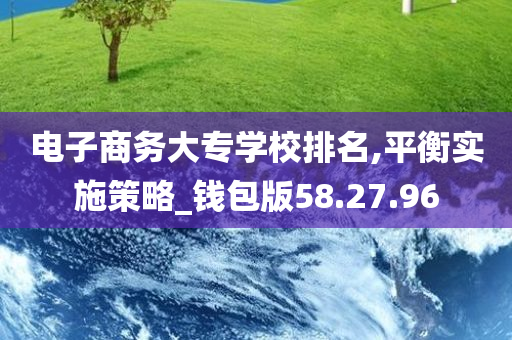 电子商务大专学校排名,平衡实施策略_钱包版58.27.96