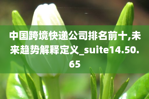 中国跨境快递公司排名前十,未来趋势解释定义_suite14.50.65