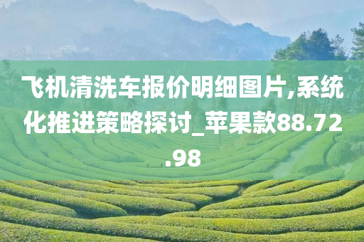 飞机清洗车报价明细图片,系统化推进策略探讨_苹果款88.72.98