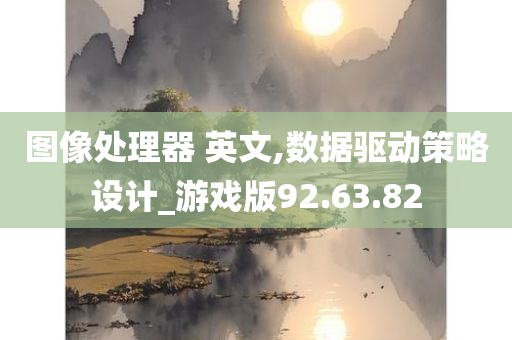 图像处理器 英文,数据驱动策略设计_游戏版92.63.82