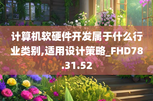 计算机软硬件开发属于什么行业类别,适用设计策略_FHD78.31.52