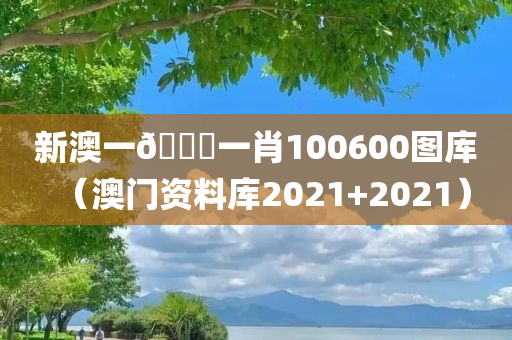 新澳一🐎一肖100600图库（澳门资料库2021+2021）