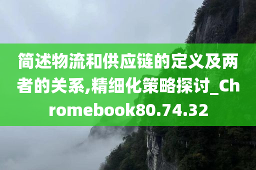 简述物流和供应链的定义及两者的关系,精细化策略探讨_Chromebook80.74.32