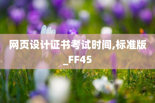 网页设计证书考试时间,标准版_FF45