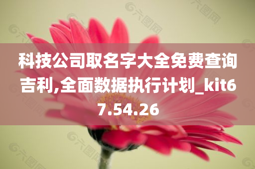 科技公司取名字大全免费查询吉利,全面数据执行计划_kit67.54.26