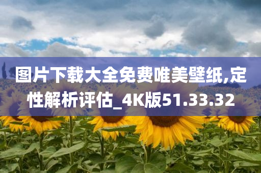 图片下载大全免费唯美壁纸,定性解析评估_4K版51.33.32