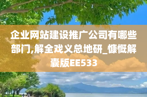 企业网站建设推广公司有哪些部门,解全戏义总地研_慷慨解囊版EE533