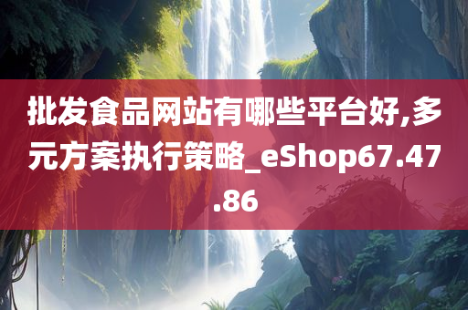 批发食品网站有哪些平台好,多元方案执行策略_eShop67.47.86