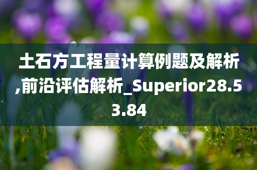 土石方工程量计算例题及解析,前沿评估解析_Superior28.53.84