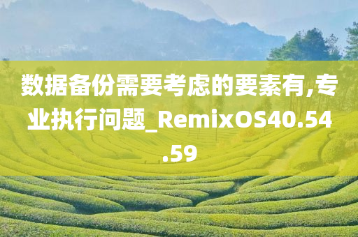 数据备份需要考虑的要素有,专业执行问题_RemixOS40.54.59