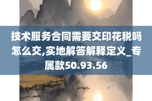 技术服务合同需要交印花税吗怎么交,实地解答解释定义_专属款50.93.56