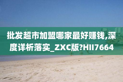 批发超市加盟哪家最好赚钱,深度详析落实_ZXC版?HII7664