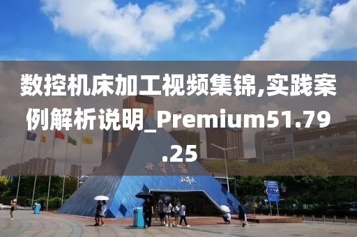 数控机床加工视频集锦,实践案例解析说明_Premium51.79.25