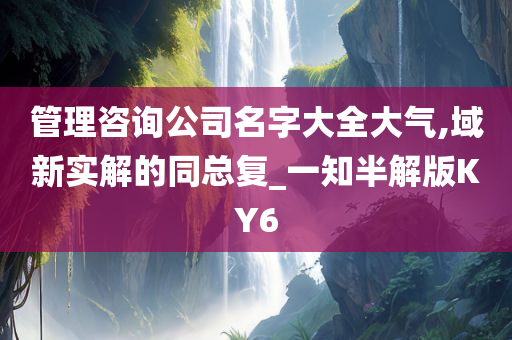 管理咨询公司名字大全大气,域新实解的同总复_一知半解版KY6