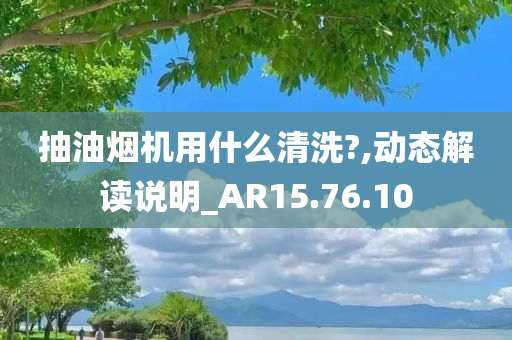 抽油烟机用什么清洗?,动态解读说明_AR15.76.10