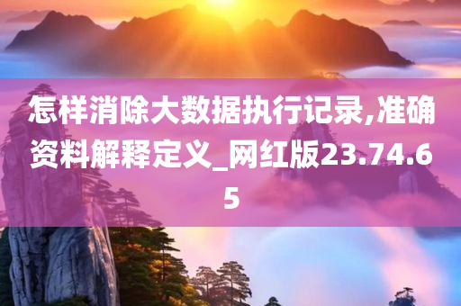 怎样消除大数据执行记录,准确资料解释定义_网红版23.74.65