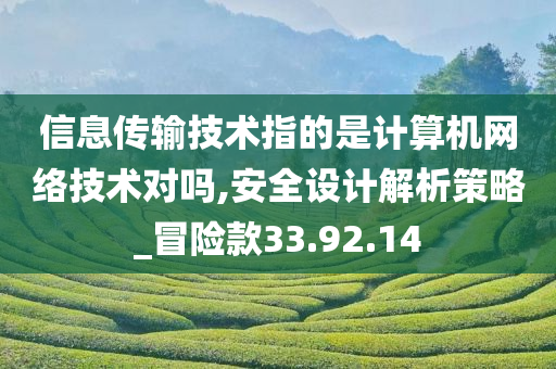 信息传输技术指的是计算机网络技术对吗,安全设计解析策略_冒险款33.92.14