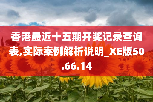 香港最近十五期开奖记录查询表,实际案例解析说明_XE版50.66.14