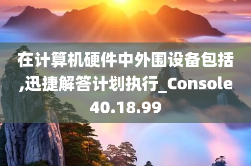 在计算机硬件中外围设备包括,迅捷解答计划执行_Console40.18.99