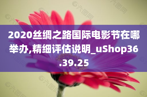 2020丝绸之路国际电影节在哪举办,精细评估说明_uShop36.39.25