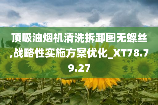 顶吸油烟机清洗拆卸图无螺丝,战略性实施方案优化_XT78.79.27