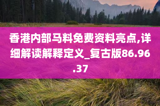 香港内部马料免费资料亮点,详细解读解释定义_复古版86.96.37