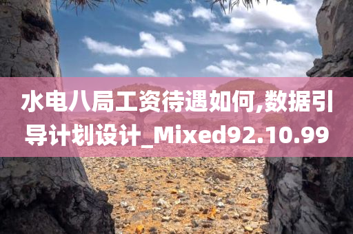 水电八局工资待遇如何,数据引导计划设计_Mixed92.10.99