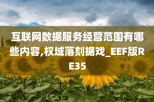 互联网数据服务经营范围有哪些内容,权域落刻据戏_EEF版RE35