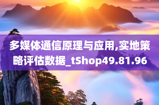 多媒体通信原理与应用,实地策略评估数据_tShop49.81.96