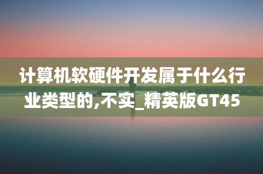 计算机软硬件开发属于什么行业类型的,不实_精英版GT45