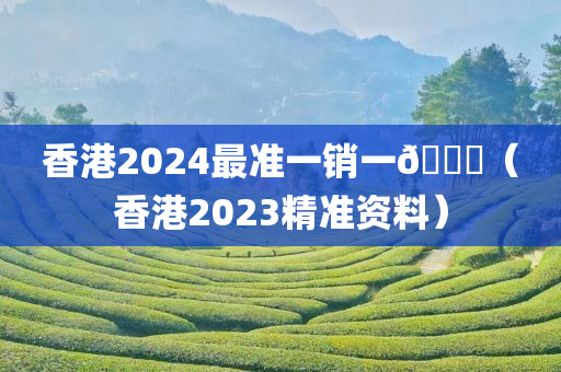 香港2024最准一销一🐎（香港2023精准资料）