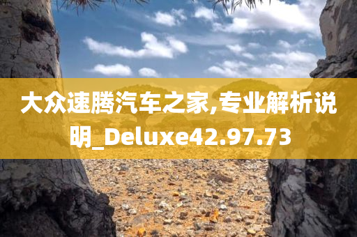 大众速腾汽车之家,专业解析说明_Deluxe42.97.73