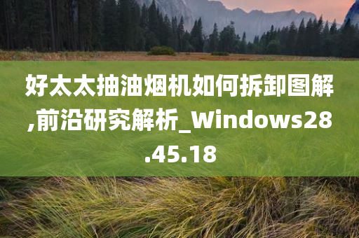 好太太抽油烟机如何拆卸图解,前沿研究解析_Windows28.45.18