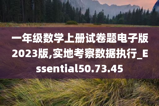 一年级数学上册试卷题电子版2023版,实地考察数据执行_Essential50.73.45