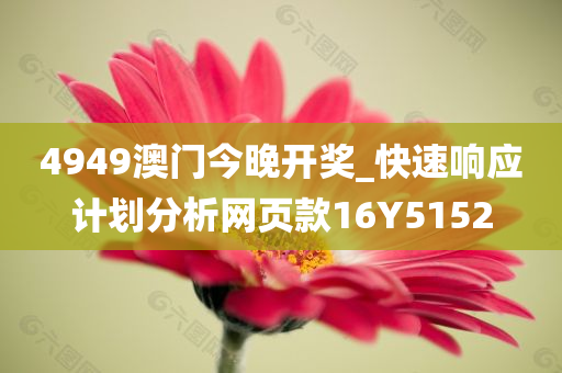 4949澳门今晚开奖_快速响应计划分析网页款16Y5152